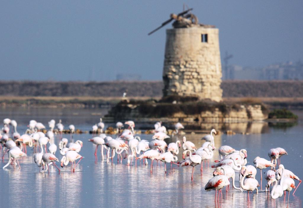 Appartamenti Trapani Mare Dış mekan fotoğraf